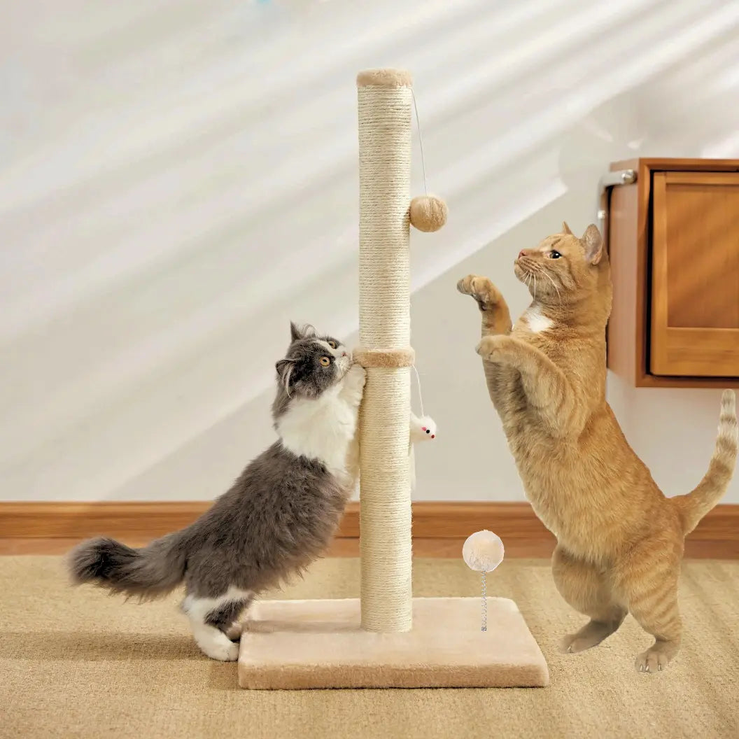 Rascador vertical para gatos con juguete incorporado. - vista 2