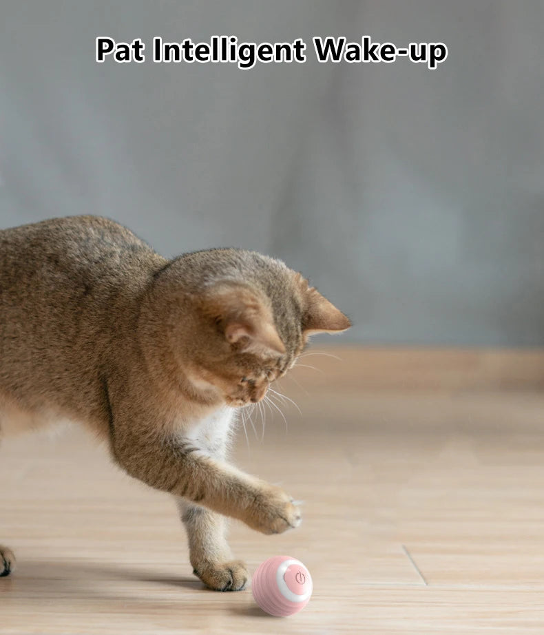 Pelota interactiva para gatos - vista 15