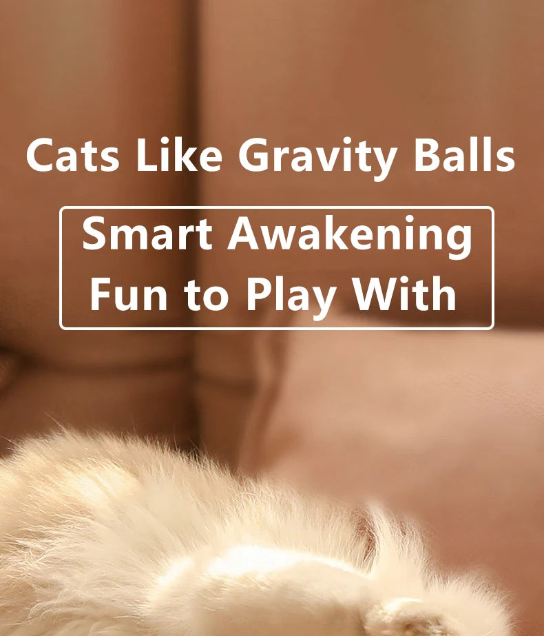 Pelota interactiva para gatos - vista 9