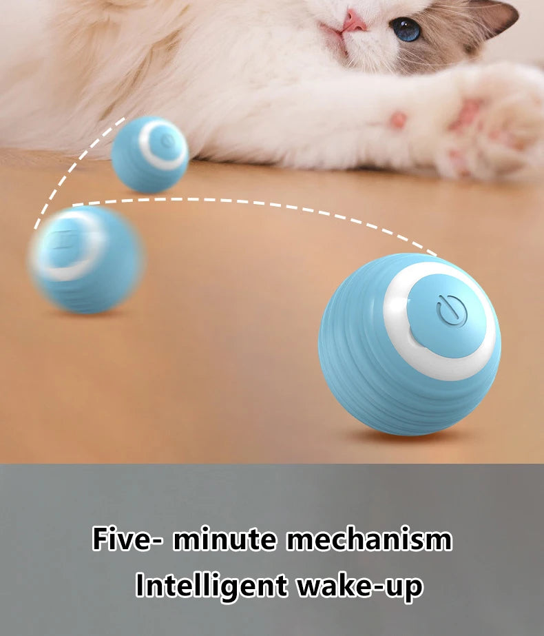 Pelota interactiva para gatos - vista 14