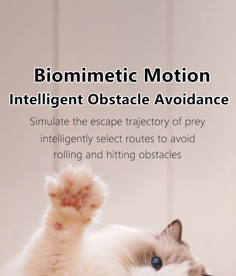 Pelota interactiva para gatos - vista 13