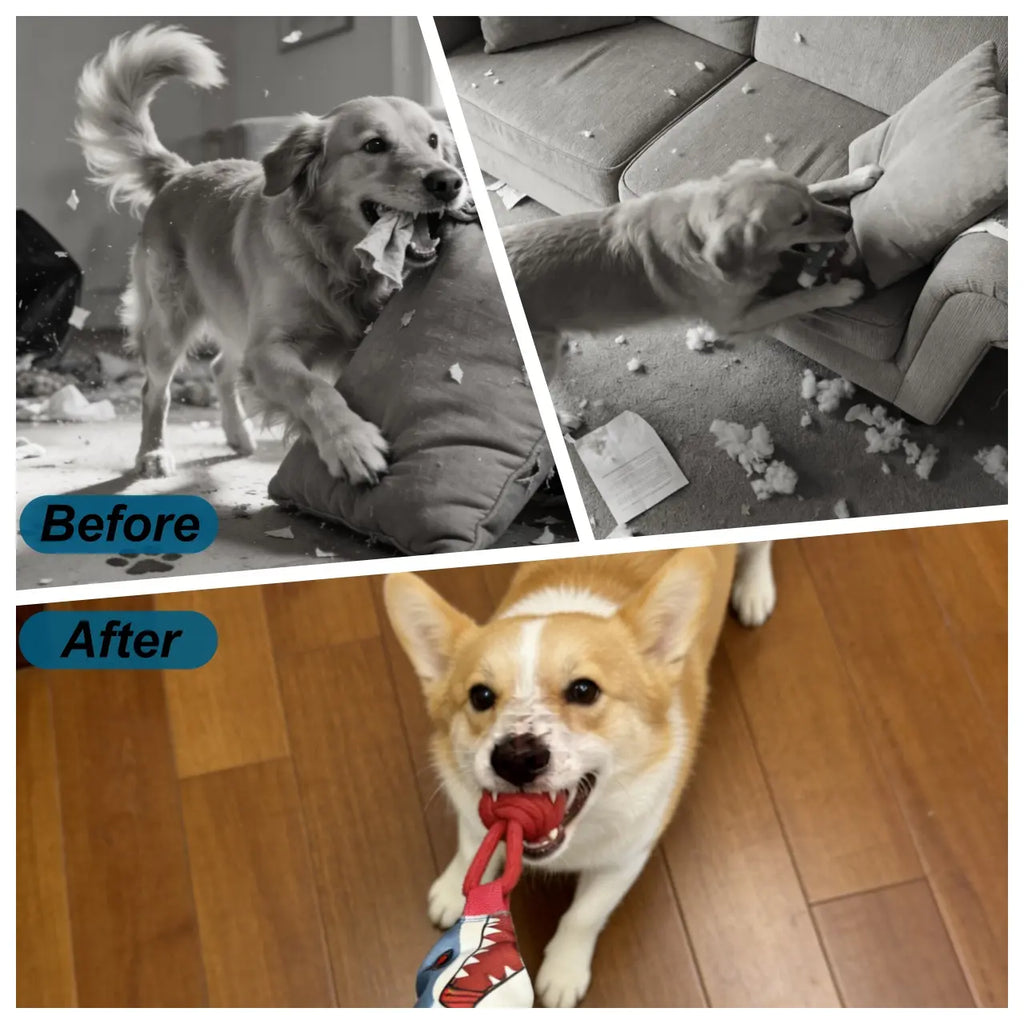 Juguete de tirar para perro - vista 5
