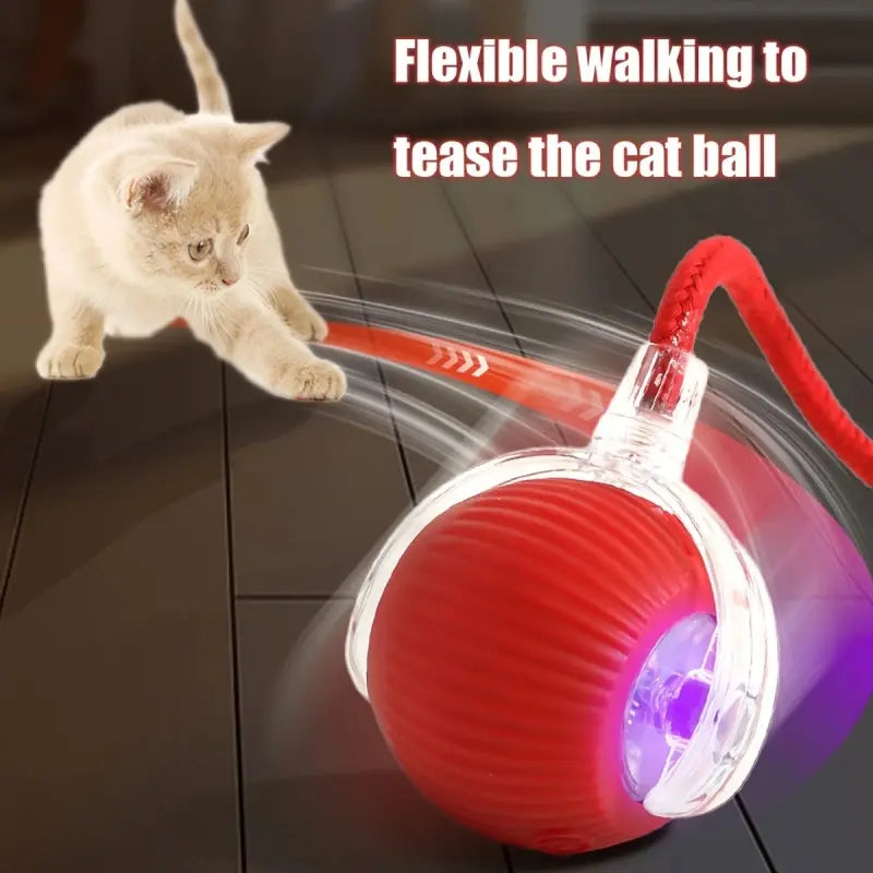 Pelota interactiva para gatos - vista 2